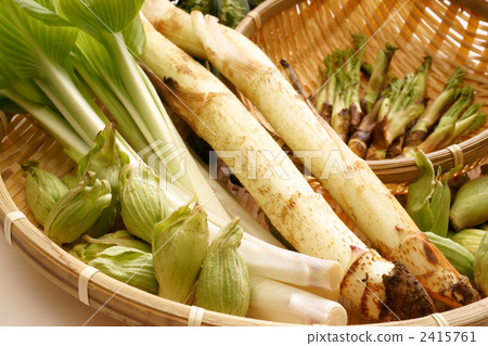 Spring wild plant 2415761