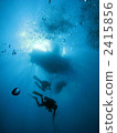 scuba diving, scuba dive, in the sea 2415856