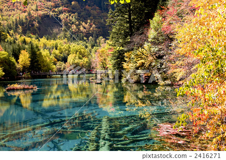 Five flower seas of Jiuzhaigou 2416271