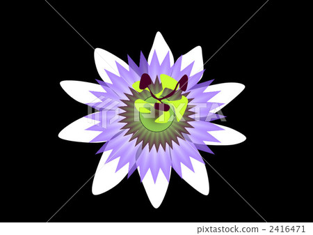 花語言激情聖潔愛6月13日6月27日鮮花盛開於8月21日 插圖素材 圖庫