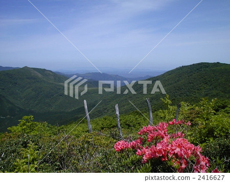Mt. Mt. Mt. Azumayama 2416627