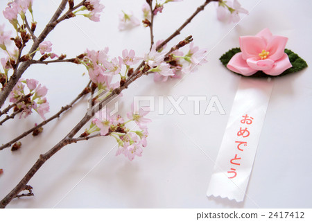 祝賀Sakura 2417412