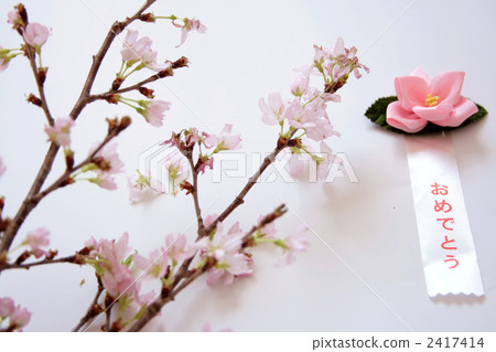 祝賀Sakura 祝賀Sakura 2417414