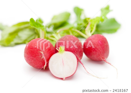 蘿蔔 2418167
