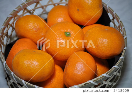 橘子在籠子裡 橘子在籠子裡 2418909