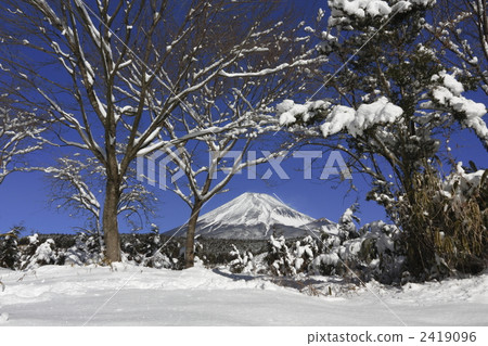 Snow and Mt. Fuji Snow and Mt. Fuji 2419096