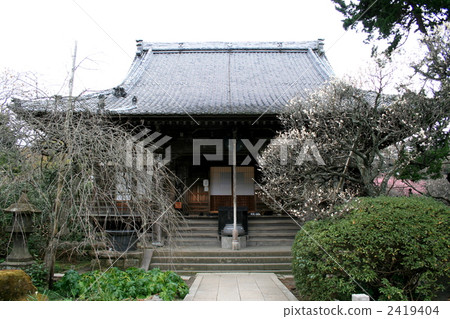 Visit the treasure temple temple of Mr. Hojo Yukari 2419404