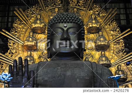 Todaiji Buddha of Nara 2420276