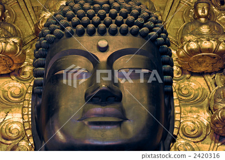 Todaiji面對奈良的佛 2420316