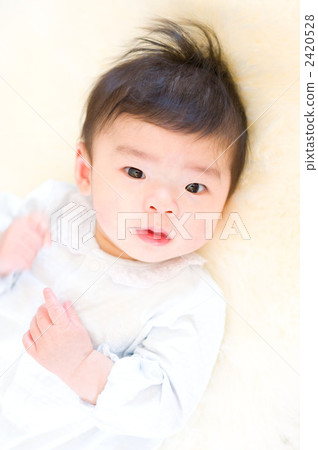 盯著寶寶 盯著寶寶 2420528