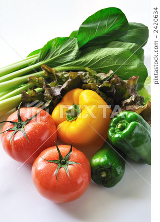 Vegetable length 2420634