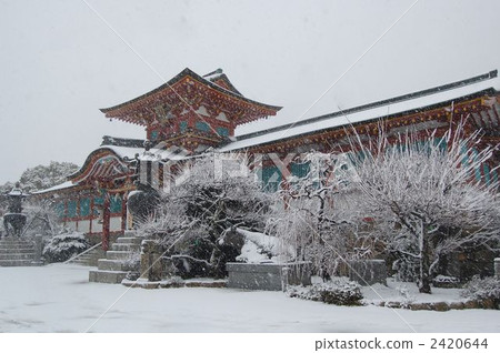 Snow scene of Hofu Tenmangu Shrine 2420644