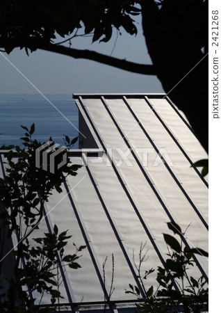 Galvalume鋼板屋頂 2421268