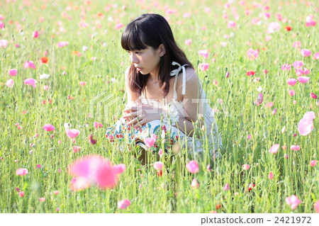 Poppy field and young lady Poppy field and young lady 2421972