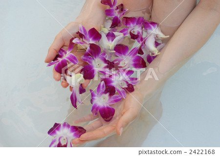 花浴 花蕾 洗澡 2422168