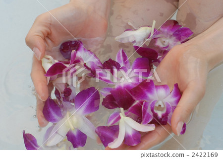 有益健康的 健康 身體部位 2422169