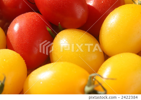 Aiko Tomato 2422384