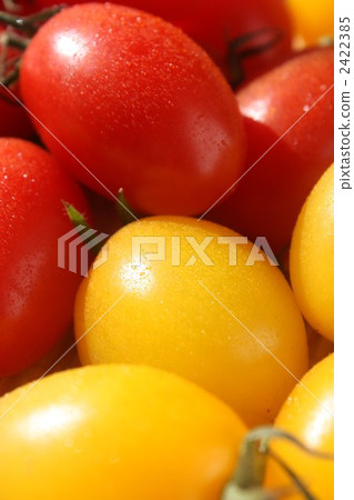 Aiko Tomato 2422385