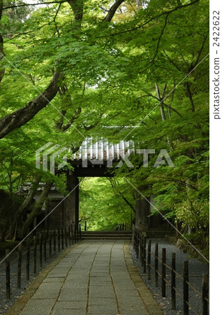 京都新鮮綠色的Komyoji 2422622