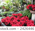 Gardening store 2426446