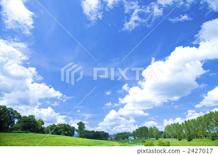 普遍的樹和藍天 2427017