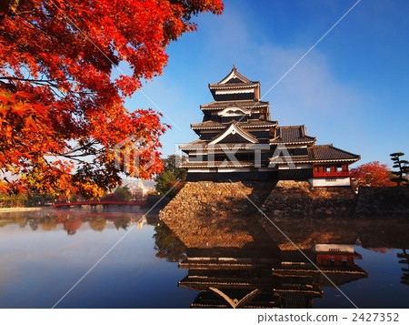 Matsumoto Castle and autumn leaves 2427352
