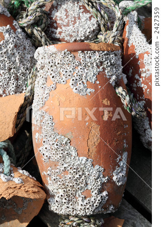 Tako jar Tako jar 2427359