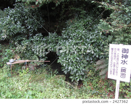 Princess of Princess of Princess 2427362