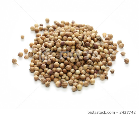Coriander seed 2427742