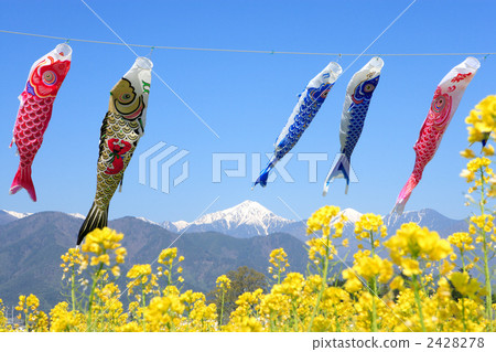 安曇野的鯉魚飄帶 安曇野的鯉魚飄帶 2428278