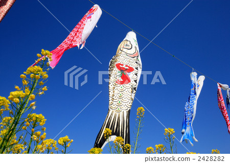 鯉魚旗 2428282