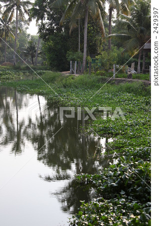 Kerala's backwater trip 2429397