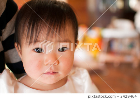 little child, toddler, person 2429464