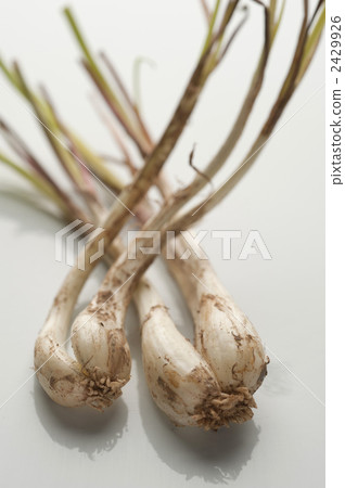 shimarakkyo, vegetables, vegetable 2429926