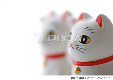 A pair inviting cats bringing good fellows 2429946