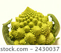 Romanesco 2430037