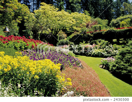 Victoria's Butchart Gardens Victoria's Butchart Gardens 2430300