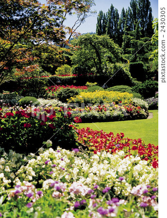 維多利亞的布查特花園 維多利亞的布查特花園 2430305