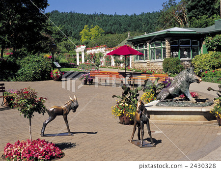 維多利亞的布查特花園 2430328