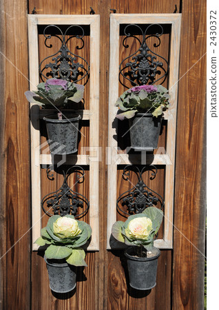 Leaf button button decoration 2430372