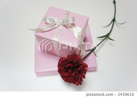 母親節禮物 2430618