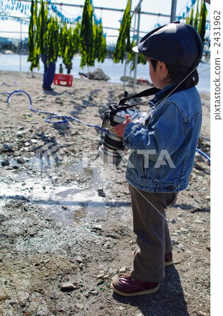 乾海藻和小攝影師 2431962