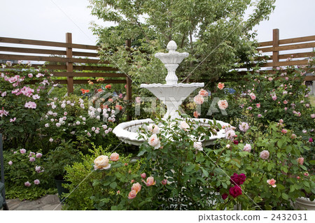 Rose garden Rose garden 2432031