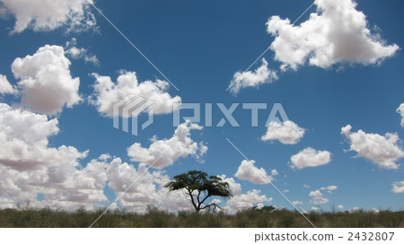 喀拉哈里跨境公園藍天 2432807