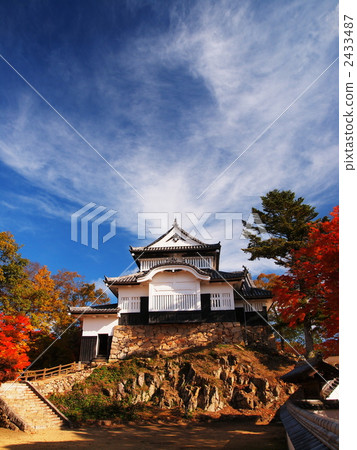 Matsuyama castle in the autumn color 2433487