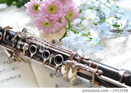woodwind instrument, clarinet, avocation 2433598