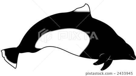 海豚 海洋動物 2433945