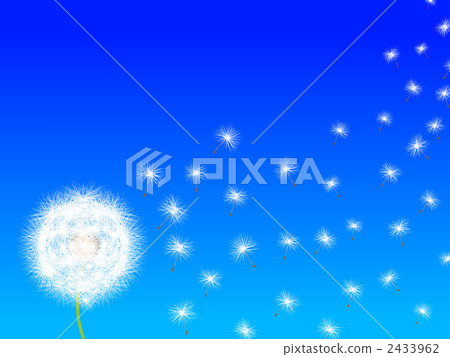 Dandelion's fluff Dandelion's fluff 2433962