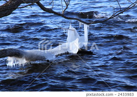 Splash ice 2433983