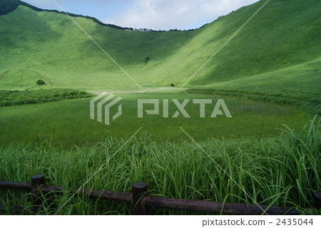 marsh, wetlands, nara prefecture 2435044